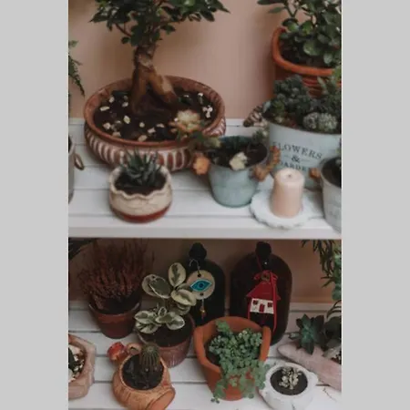 Debbies House *