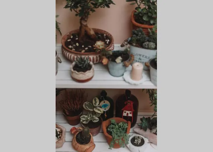 Debbie's House *